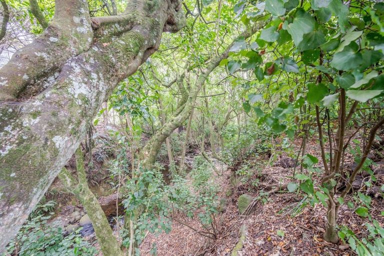 Photo of property in 9 Kowhai Grove, Akaroa, 7520