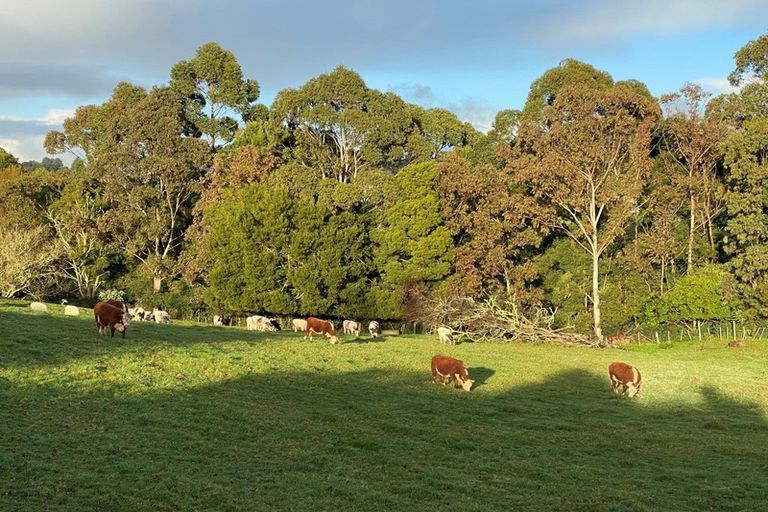 Photo of property in 63 Whitford Park Road, Whitford, Manurewa, 2576