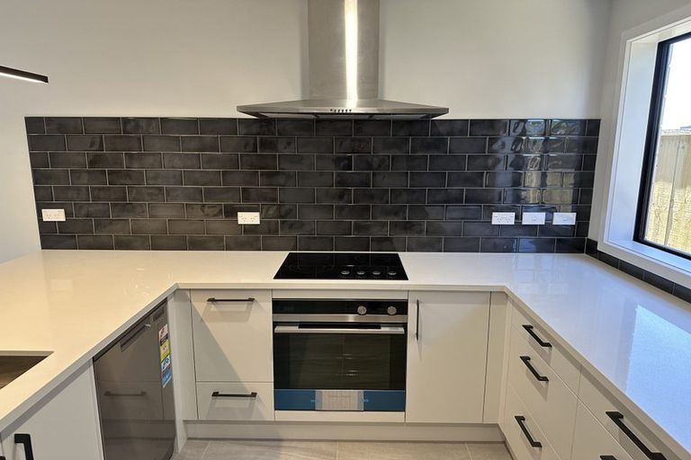 Photo of property in 51 Probert Crescent, Chartwell, Hamilton, 3210