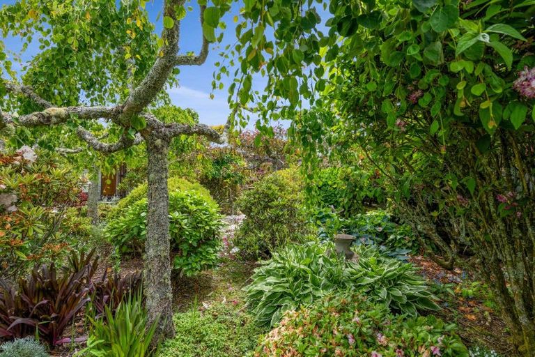 Photo of property in 37 Cassandra Street, Stratford, 4332