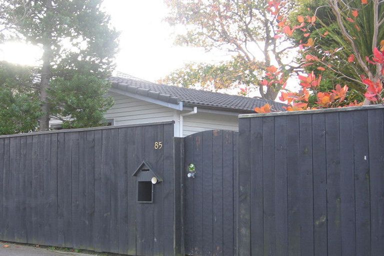 Photo of property in 85 Pretoria Street, Hutt Central, Lower Hutt, 5010