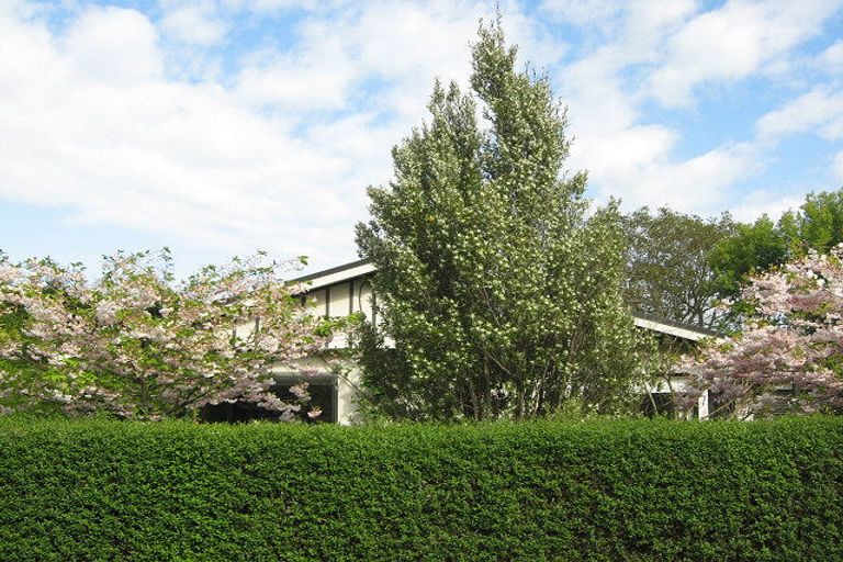 Photo of property in 7 Pine Avenue, Waikuku Beach, 7473