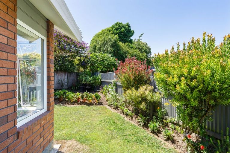Photo of property in 6c Kawiu Road, Levin, 5510