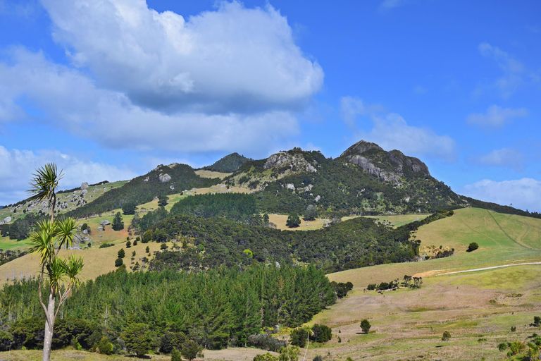 Photo of property in 234 Kerr Road, Parua Bay, Onerahi, 0192