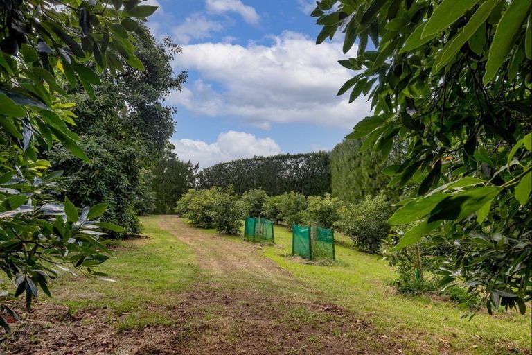 Photo of property in 93 Te Puna Quarry Road, Minden, Tauranga, 3179