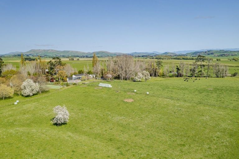 Photo of property in 510 Porangahau Road, Waipukurau, 4282