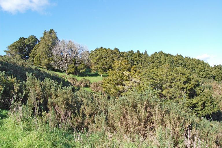 Photo of property in 36 Tawa Avenue, Kaiwaka, 0573