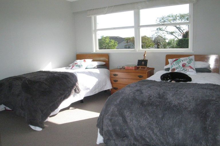 Photo of property in 19 Woods Avenue, Matua, Tauranga, 3110