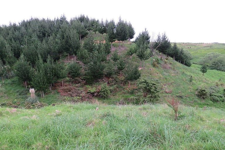 Photo of property in 289 Franklin Road, Paparoa, 0571