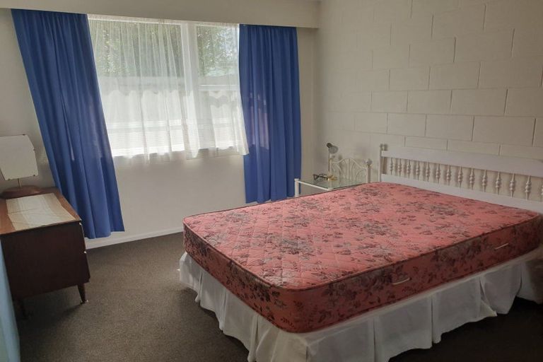 Photo of property in 29 Ranfurly Street, Hokowhitu, Palmerston North, 4410