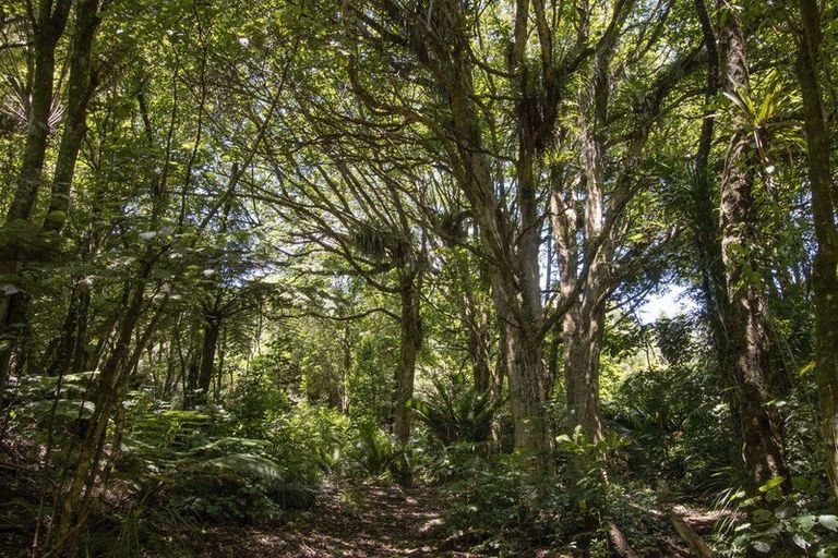 Photo of property in 425b Lund Road, Aongatete, Katikati, 3178