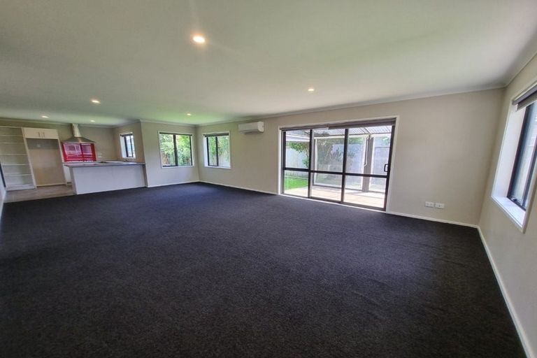 Photo of property in 19 Buckingham Place, Springvale, Whanganui, 4501
