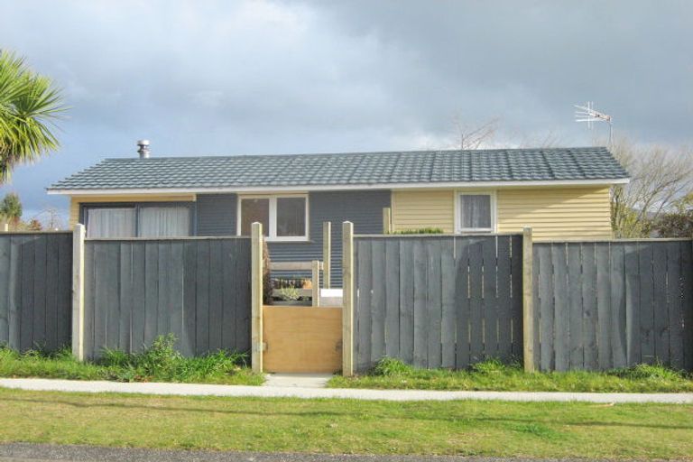 Photo of property in 53 Hingaia Street, Turangi, 3334