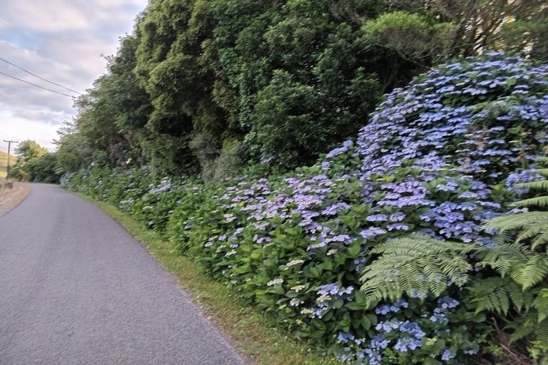 Photo of property in 126 Awai Road, Tarurutangi, New Plymouth, 4372