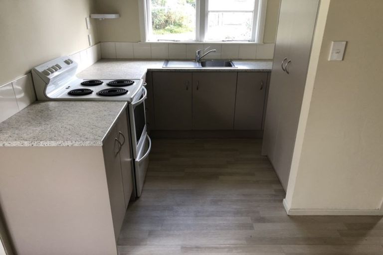 Photo of property in 117 Dey Street, Hamilton East, Hamilton, 3216