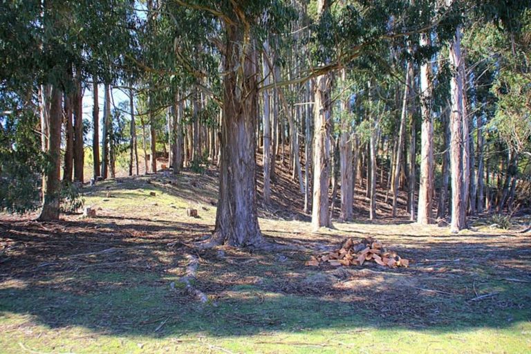 Photo of property in 18 Kakapo Road, Te Anau, 9672