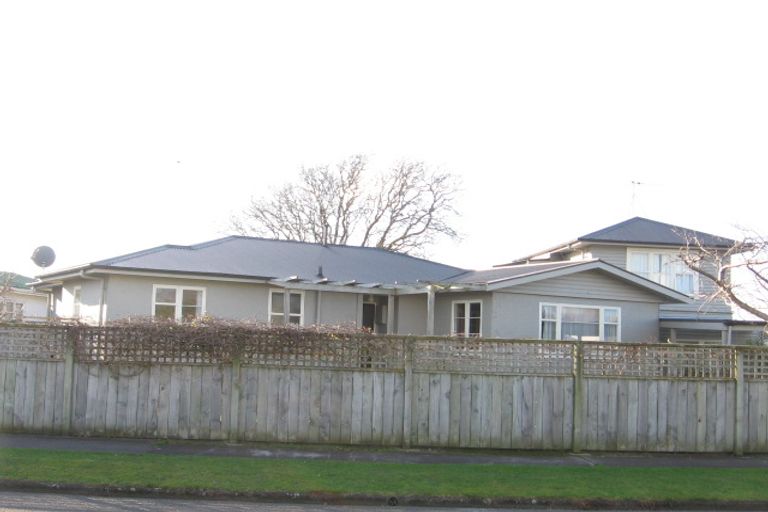 Photo of property in 12 Windsor Street, Terrace End, Palmerston North, 4410