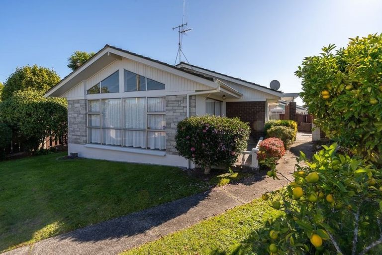 Photo of property in 24 Forest Lake Road, Forest Lake, Hamilton, 3200