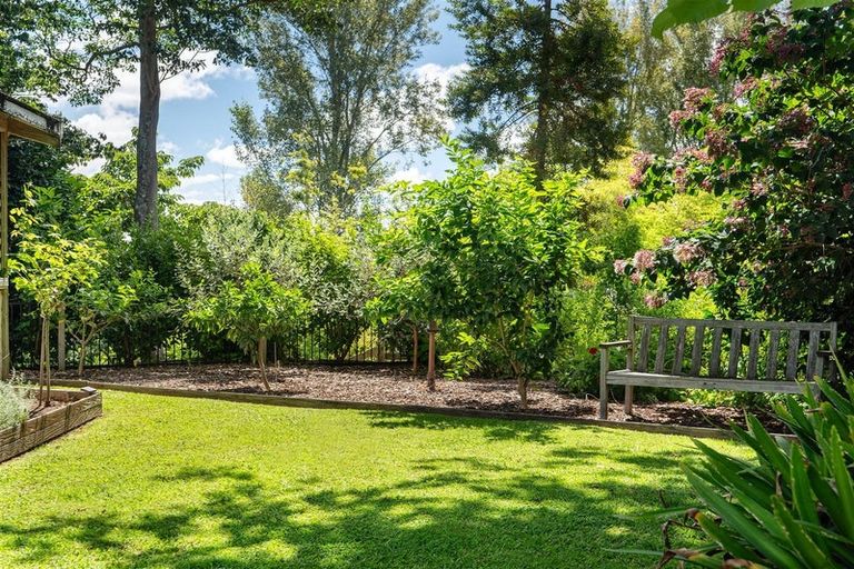 Photo of property in 20 Norrie Street, Te Puke, 3119