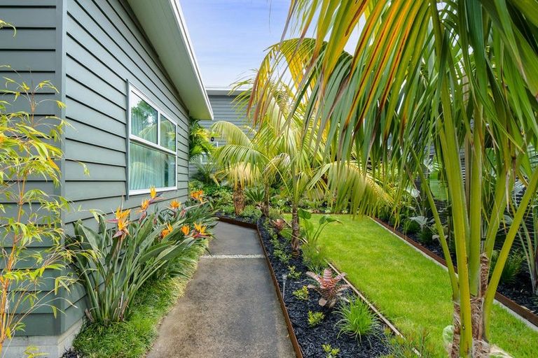 Photo of property in 50 Roto Street, Hurdon, New Plymouth, 4310