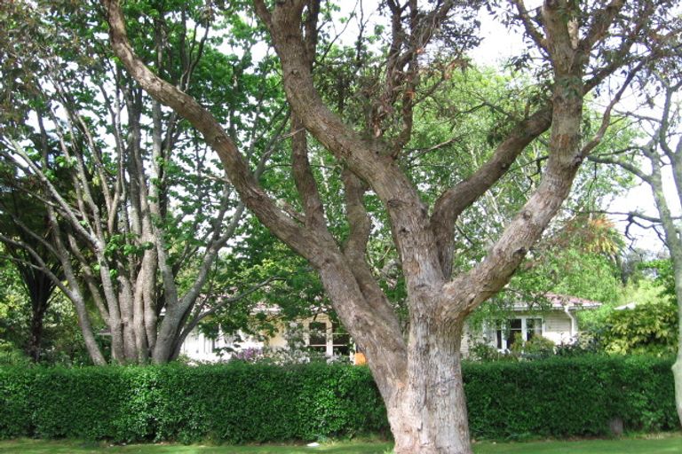 Photo of property in 84 Oak Street, Mangapapa, Gisborne, 4010