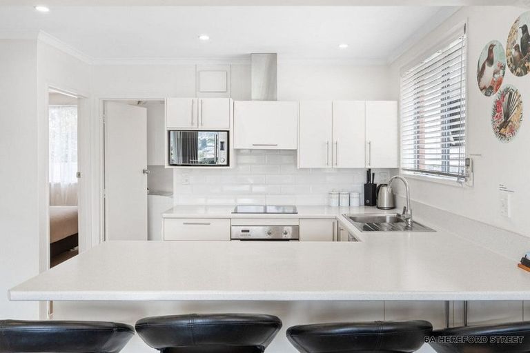 Photo of property in 6a Hereford Street, Roslyn, Dunedin, 9010