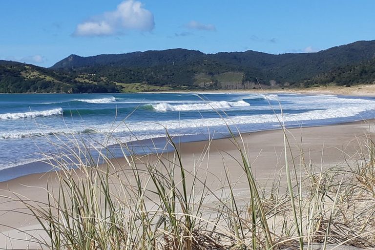 Photo of property in 323c Waikawau Beach Road, Waikawau, Coromandel, 3584