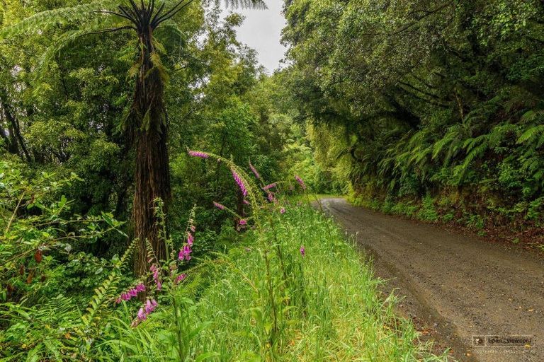 Photo of property in 21a Hamilton Road, Lake Rotoma, Rotorua, 3074