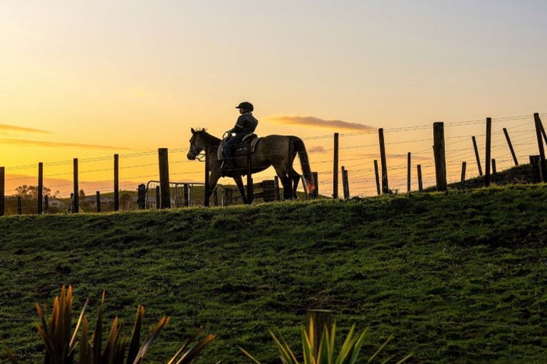 Photo of property in 469a Minden Road, Minden, Tauranga, 3176