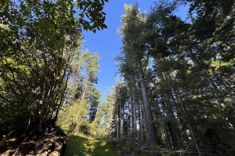 Photo of property in 432 State Highway 6, Coal Creek, Greymouth, 7802