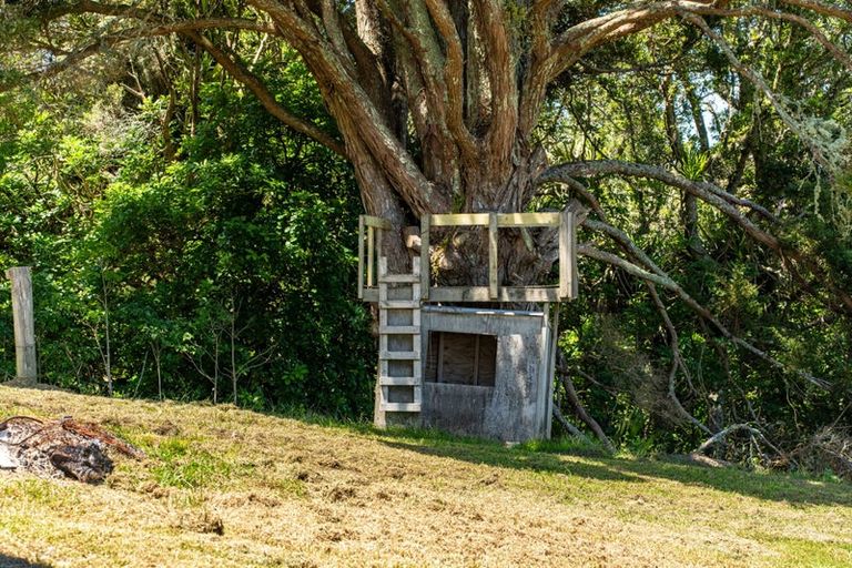 Photo of property in 1679 State Highway 12, Paparoa, 0571