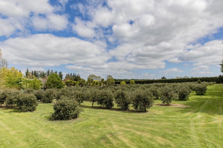 Photo of property in 498 North Eyre Road, Swannanoa, Rangiora, 7476