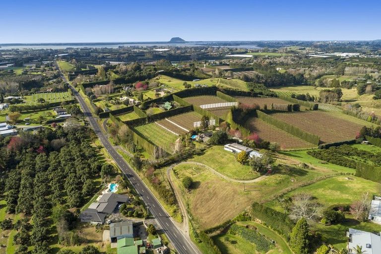 Photo of property in 14 Snodgrass Road, Te Puna, Tauranga, 3174