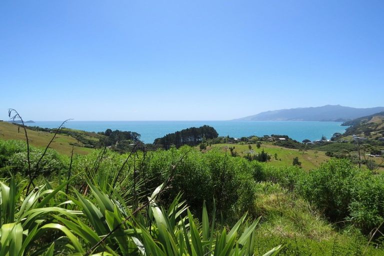 Photo of property in 1594 Colville Road, Amodeo Bay, Coromandel, 3584