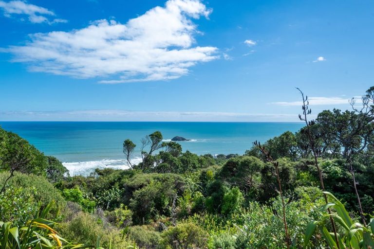 Photo of property in 449 Oaia Road, Muriwai, Waimauku, 0881
