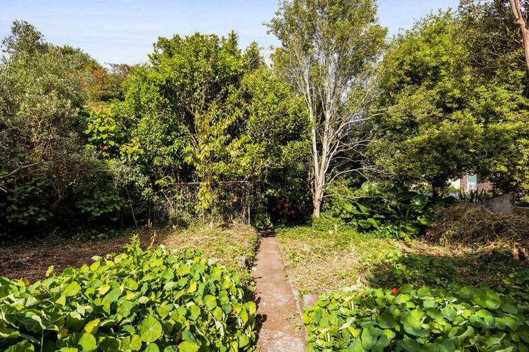 Photo of property in 53 Dorset Avenue, Westown, New Plymouth, 4310