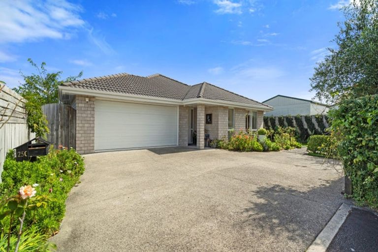 Photo of property in 25c Graham Street, Hamilton East, Hamilton, 3216