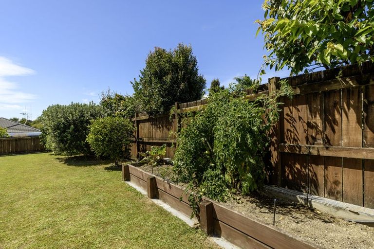 Photo of property in 14 Albero Drive, Ohauiti, Tauranga, 3112