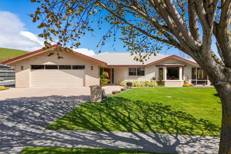 Photo of property in 24 Elmwood Avenue, Witherlea, Blenheim, 7201