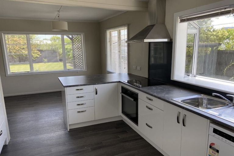 Photo of property in 411 Hastings Street South, Akina, Hastings, 4122