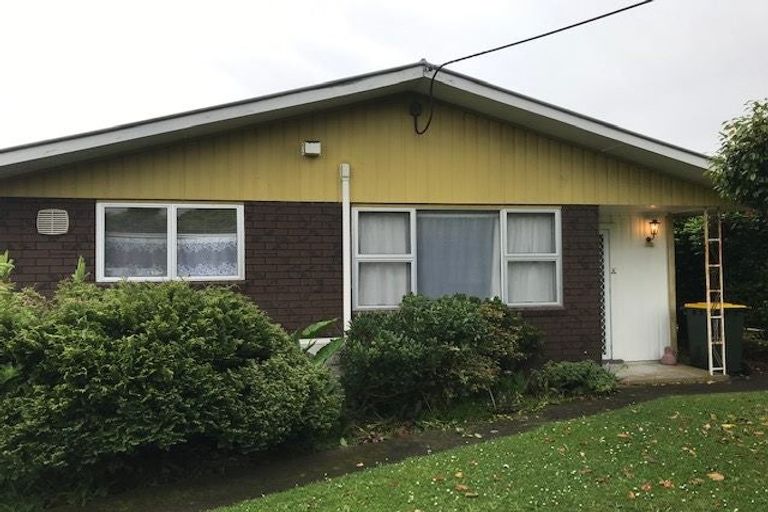 Photo of property in 77 Bartholomew Road, Levin, 5510