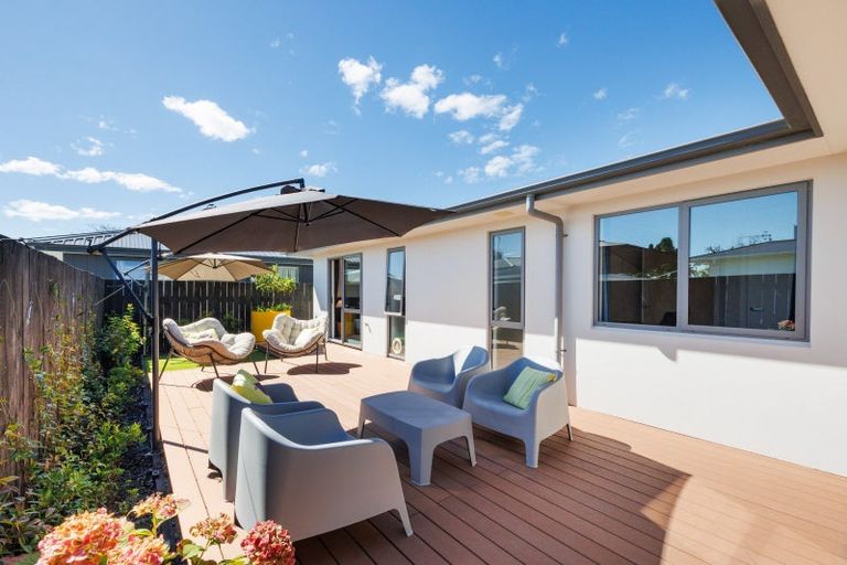 Photo of property in 55b Ferguson Street, Awapuni, Palmerston North, 4412