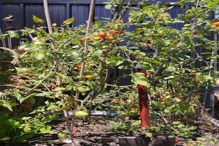 Photo of property in 57 Whites Way, Te Kauwhata, 3710