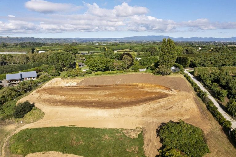 Photo of property in 137 Lochhead Road, Te Puna, Tauranga, 3176