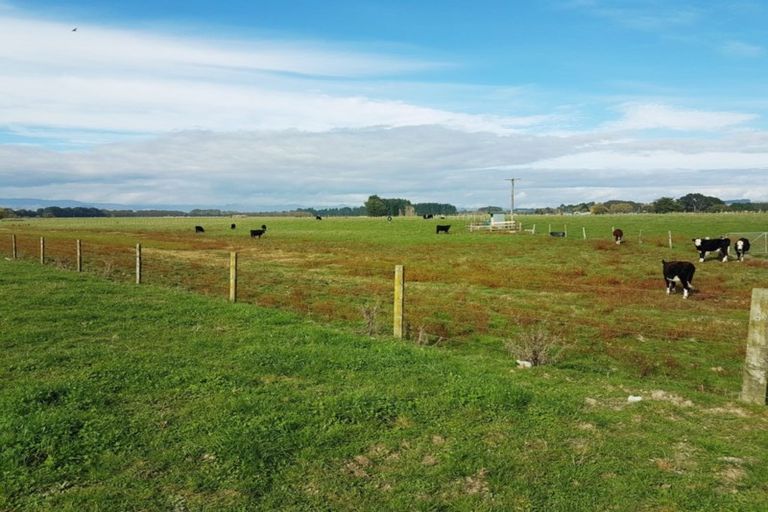 Photo of property in 221 Troup Road, Woodville, 4999