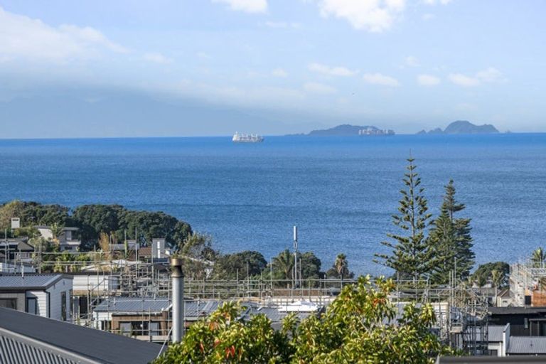 Photo of property in 47d Hastings Road, Mairangi Bay, Auckland, 0630