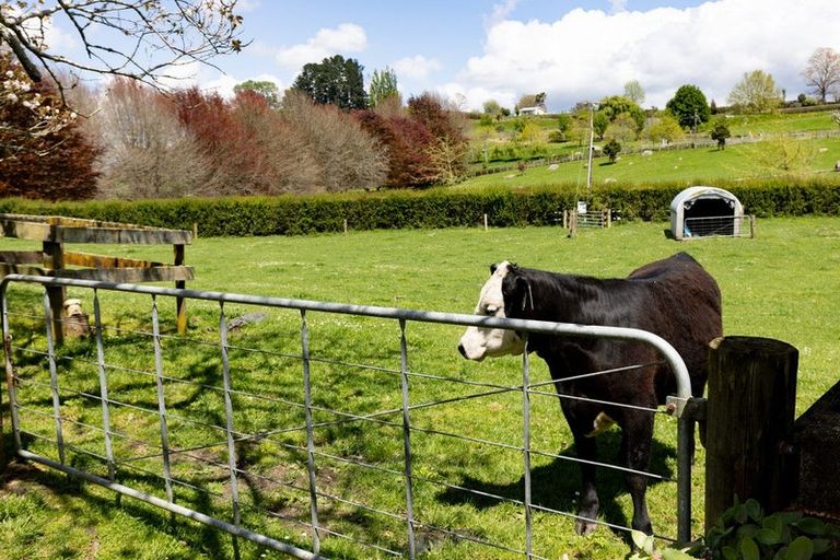 Photo of property in 2291 Maungatautari Road, Maungatautari, Cambridge, 3494
