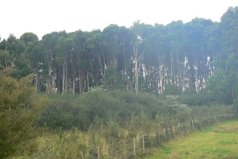 Photo of property in 6084 Mangakahia Road, Tautoro, Kaikohe, 0474