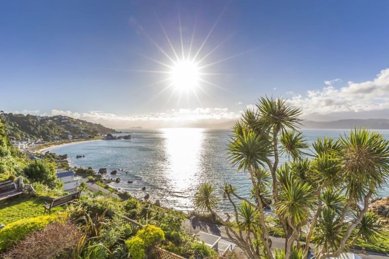 Photo of property in 8 Beere Haven Steps, Seatoun, Wellington, 6022