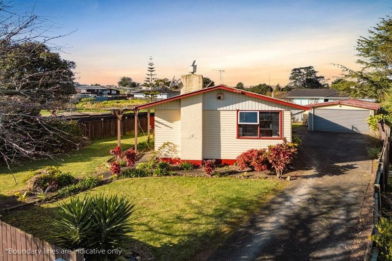 Photo of property in 42 Harania Avenue, Favona, Auckland, 2024